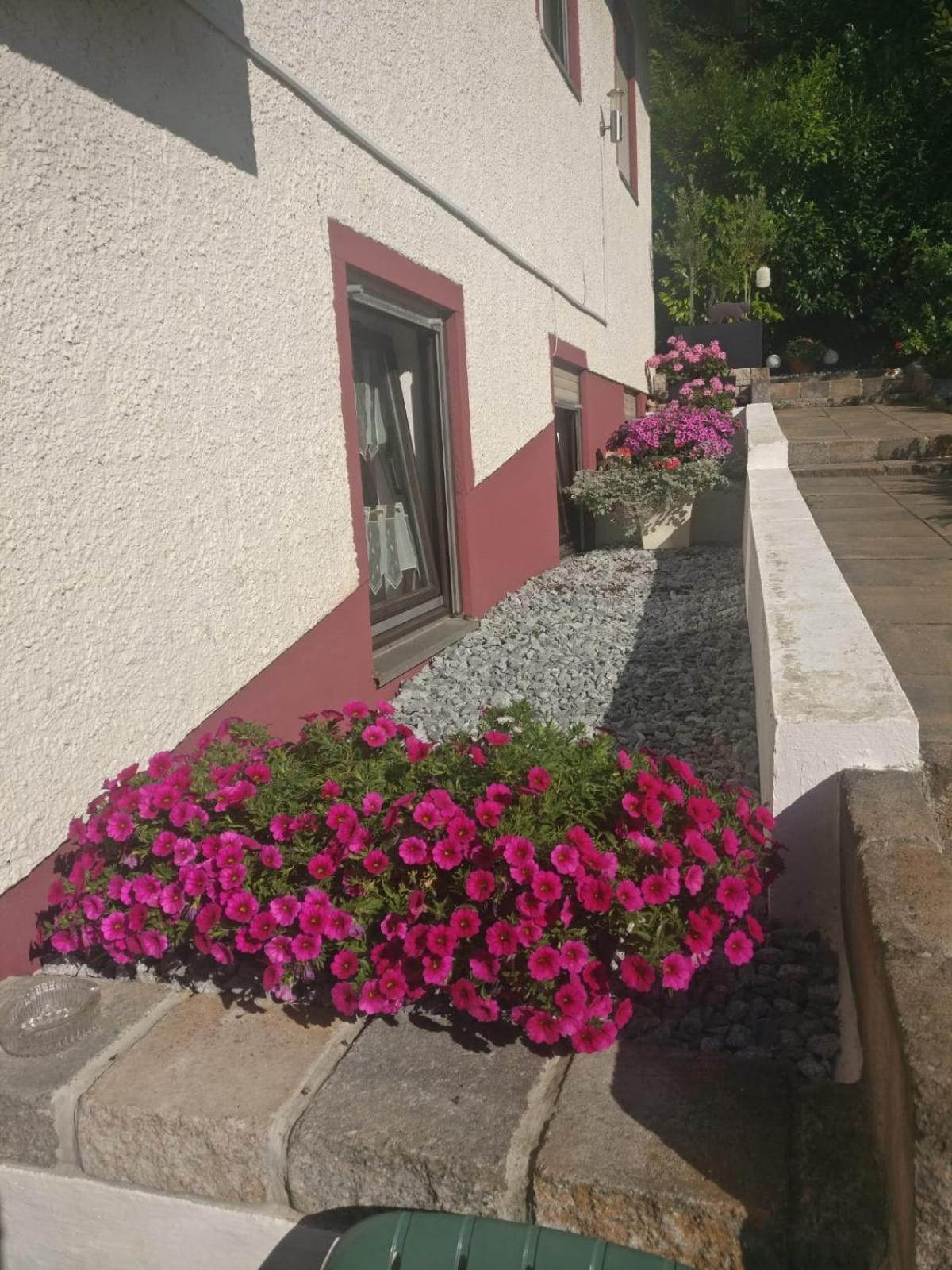 Apartments In Behringersmuehle Goessweinstein Luaran gambar