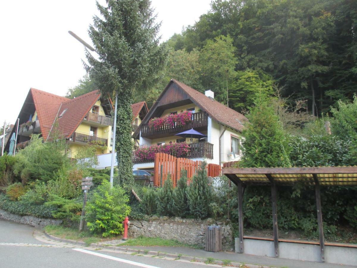 Apartments In Behringersmuehle Goessweinstein Luaran gambar